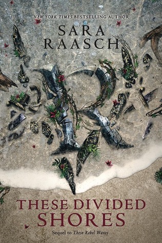 These Divided Shores by sara raasch