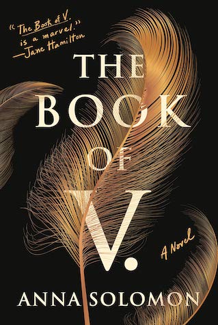 The Book of V by Anna Solomon 