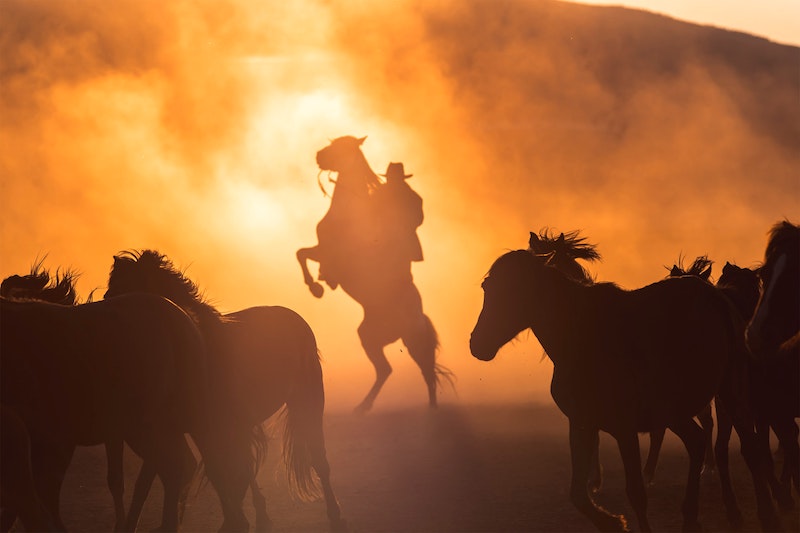 Trope Rec Tuesday: Diverse Cowboy Romances To Read After A Cowboy to Remember