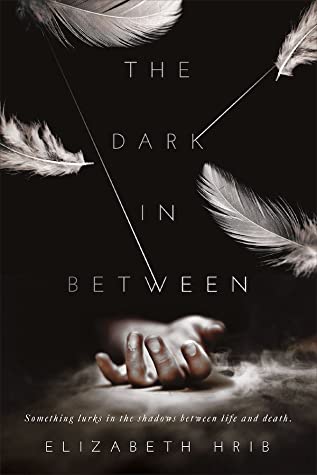 The Dark In-Between by Elizabeth Hrib