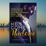 Book of the Week: He's Come Undone