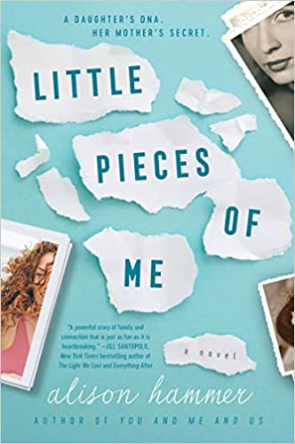 Little Pieces of Me by Alison Hammer