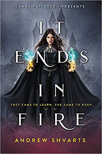 It Ends in Fire by Andrew Shvarts