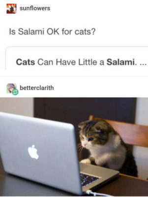 Cats can Have Little a Salami