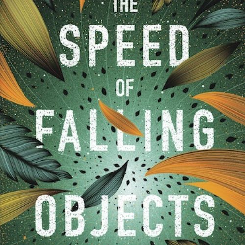 The Speed of Falling Objects by Nancy Richardson Fischer